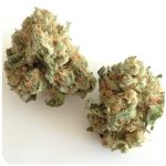 Шишки "White Widow" (Белая вдова) Гидропоника - Бошка VHQ в Грязях Шишки "White Widow" (Белая вдова) Гидропоника - Бошка VHQ в Грязях