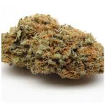 Шишки AK47 (Гидропоника, Бошка) VHQ в Грязях Шишки AK47 (Гидропоника, Бошка) VHQ в Грязях